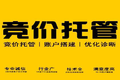 SEM竞价优化技巧分享：成功案例揭秘